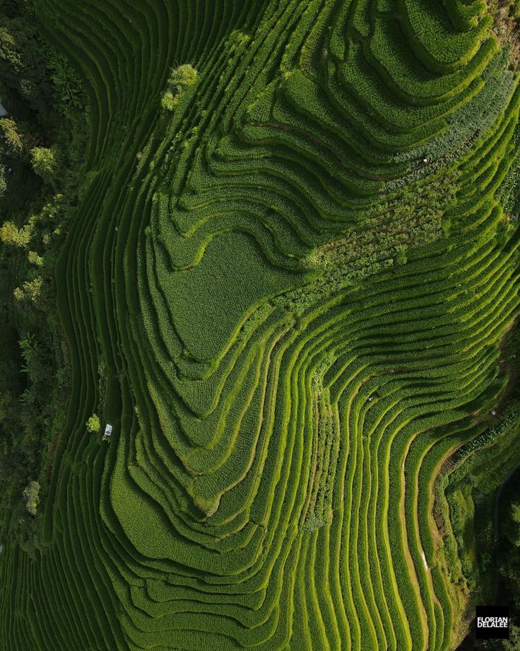 From Farm to Fork: Concentration in the Agricultural Supply Chain