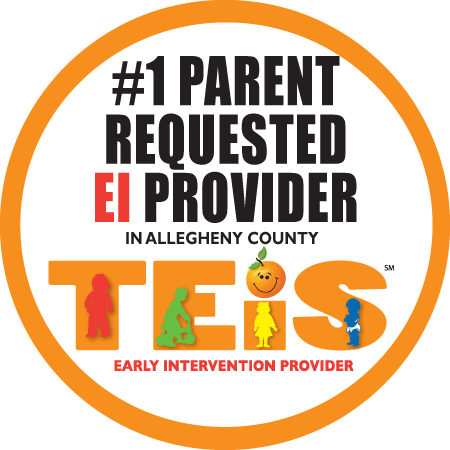 TEIS Early Intervention Provider Jobs